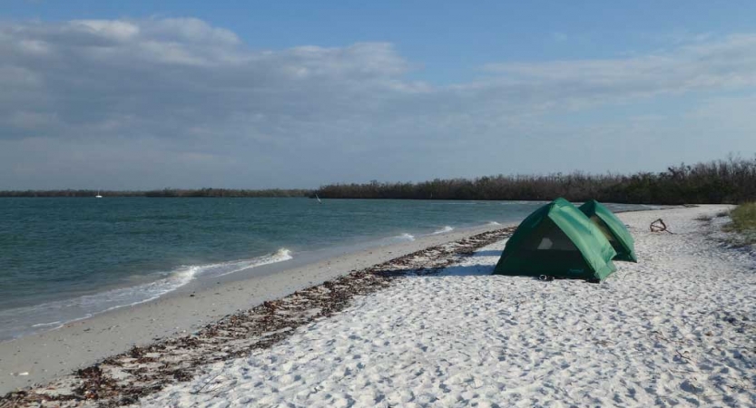 Tents rest on a sandy beach near a body of water. 